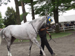 saratoga20072822.JPG