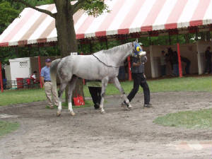 saratoga2007283_edited2.JPG