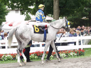 saratoga2007286_edited2.JPG